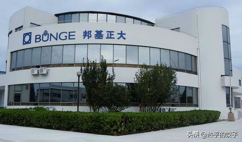 胖東來繞開國內(nèi)油企，以自主采購保障食用油食品安全