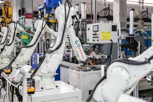 續命還是趨勢？外貿企業“出口轉內銷”的真心話與大冒險