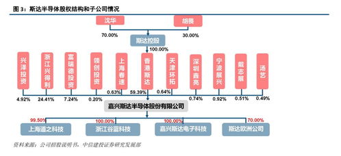 斯達半導 IGBT模塊國內領先廠商，有望受益于國產替代與行業增長
